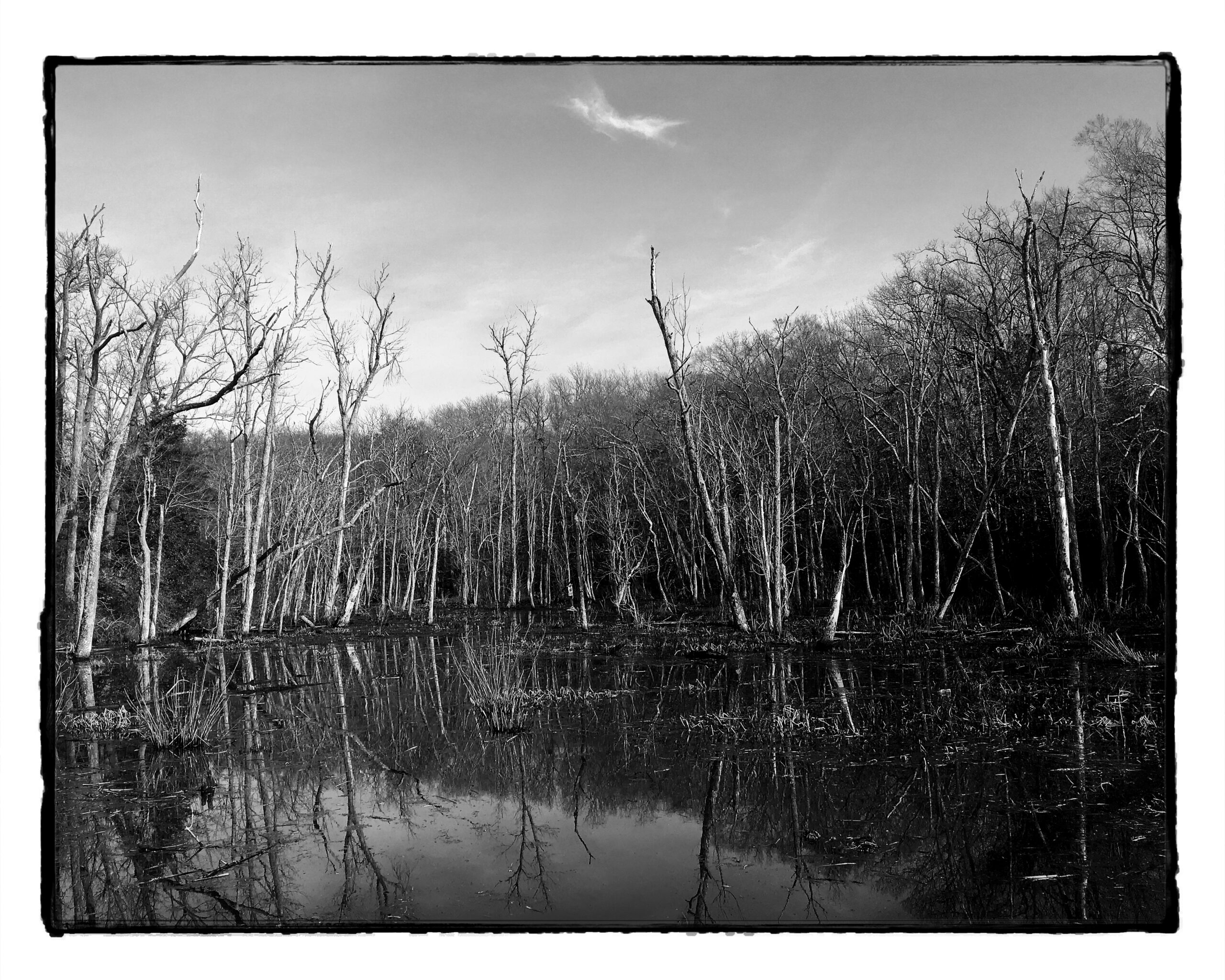 Mason Neck Park 12.19.19 1620BWF